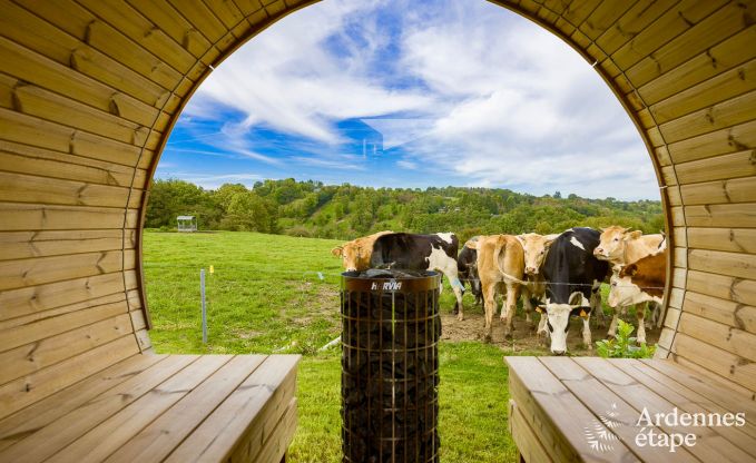 Luxe villa in Durbuy voor 12 personen in de Ardennen