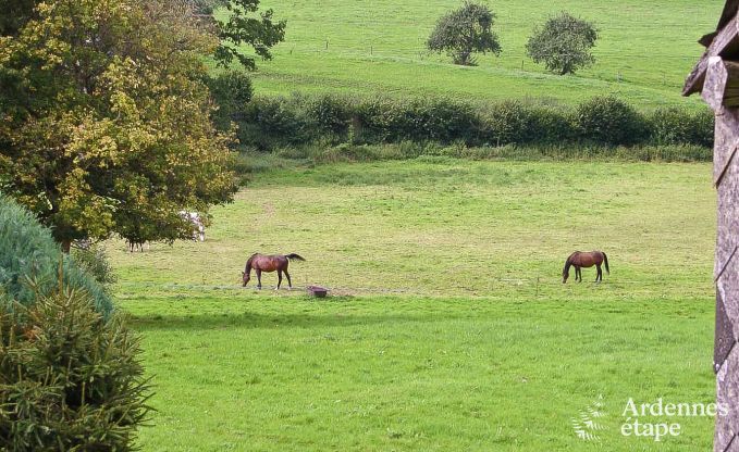 Vakantiehuis in Durbuy voor 4/7 personen in de Ardennen