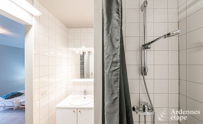 Vakantiehuis in Durbuy voor 8 personen in de Ardennen