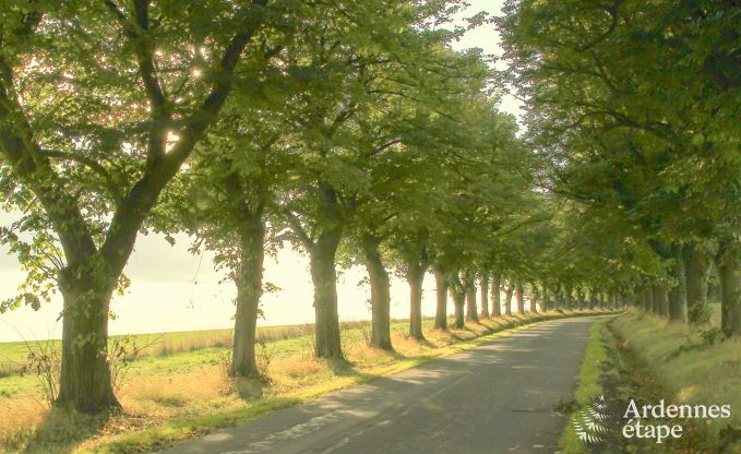 Vakantiehuis in Durbuy voor 6 personen in de Ardennen