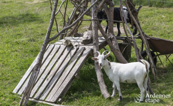 Vakantiehuis in Durbuy voor 11/12 personen in de Ardennen
