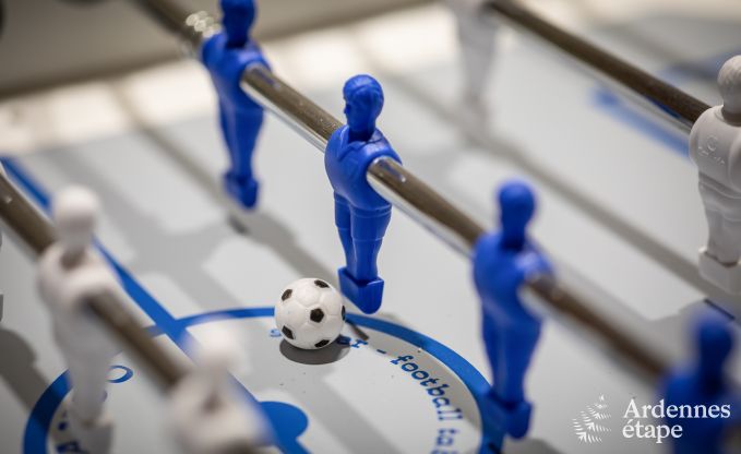 Vakantiehuis in Durbuy voor 11/12 personen in de Ardennen