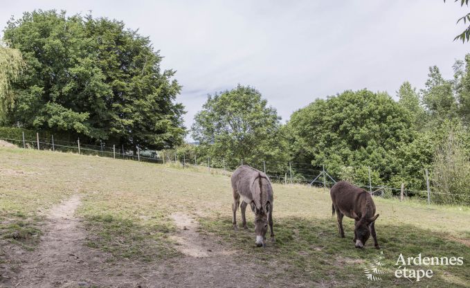 Vakantiehuis in Durbuy voor 11/12 personen in de Ardennen