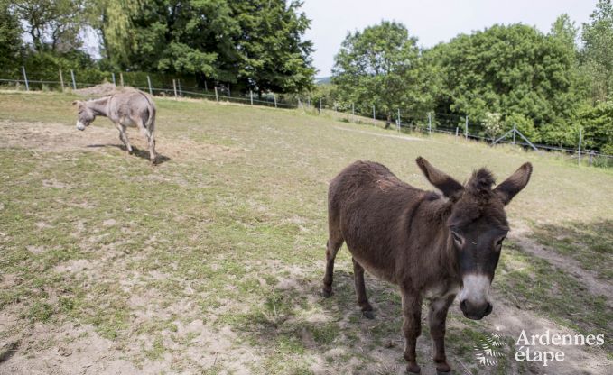 Vakantiehuis in Durbuy voor 11/12 personen in de Ardennen