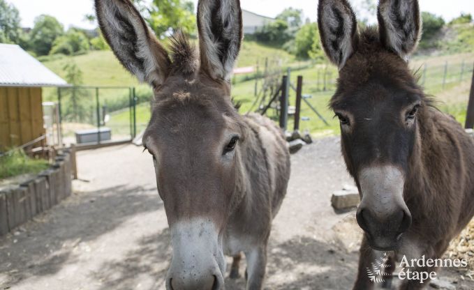 Vakantiehuis in Durbuy voor 11/12 personen in de Ardennen