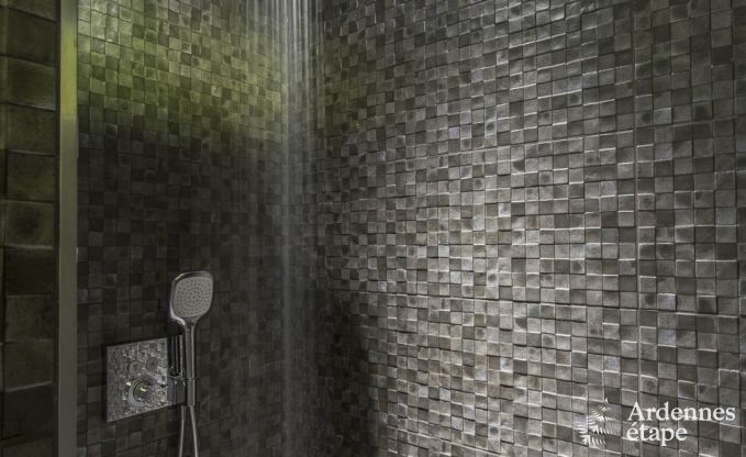 Vakantiehuis in Durbuy voor 14 personen in de Ardennen