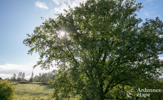Vakantiehuis in Durbuy voor 8 personen in de Ardennen