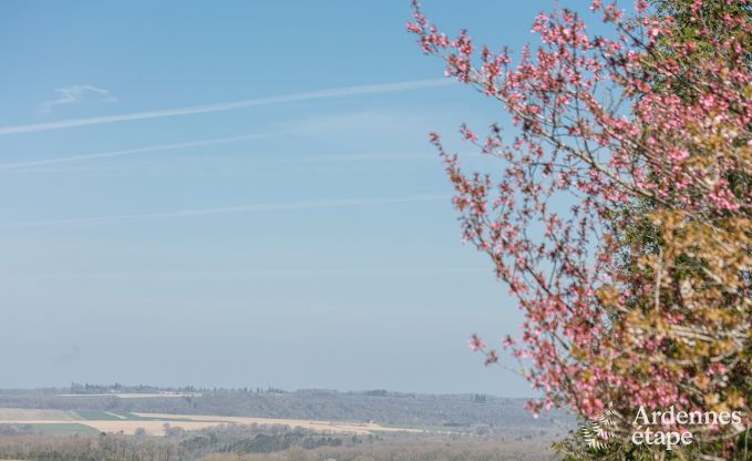 Vakantiehuis in Durbuy voor 8 personen in de Ardennen