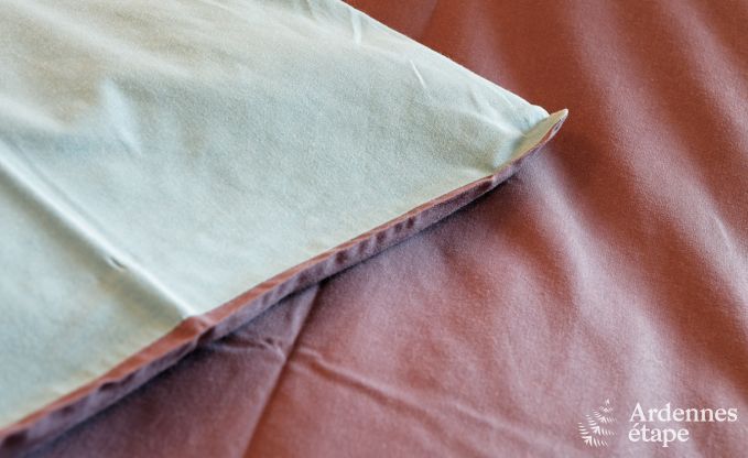 Vakantiehuis in Durbuy: 32 personen, 12 kamers, priv�tuin, hart van de Belgische Ardennen