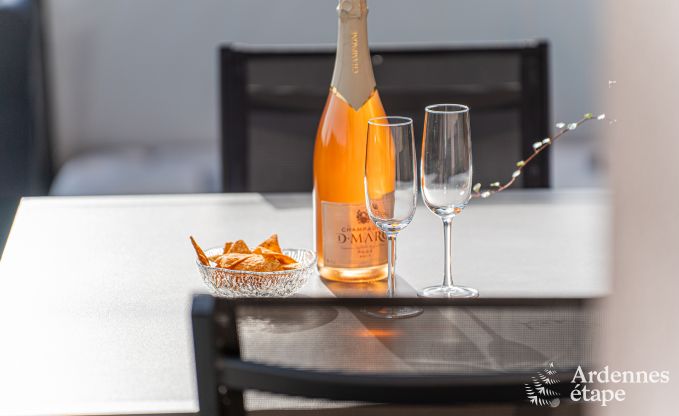 Vakantiewoning in Durbuy voor 5 personen met 3 slaapkamers, houtpelletkachel, outdoor jacuzzi, priv�terras en speeltoestellen