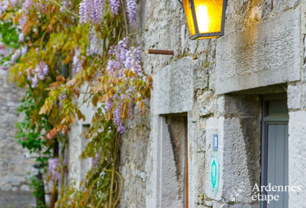 Vakantiehuis in Durbuy voor 10/11 personen in de Ardennen