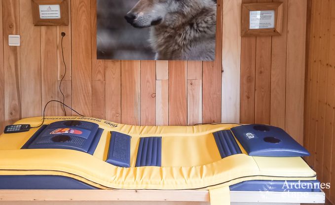 Vakantiehuis in Durbuy voor 10/11 personen in de Ardennen