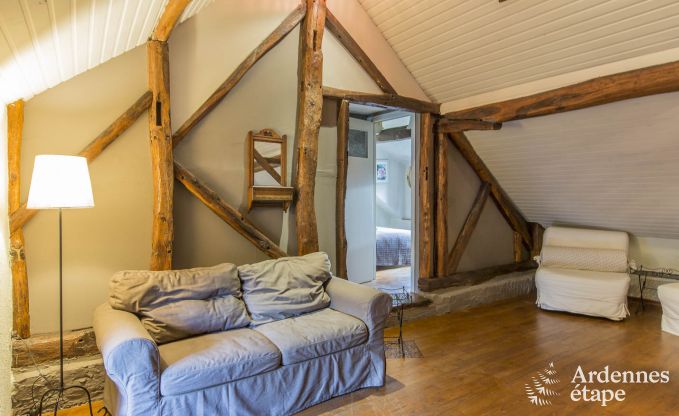 Vakantiehuis in Durbuy voor 10/11 personen in de Ardennen
