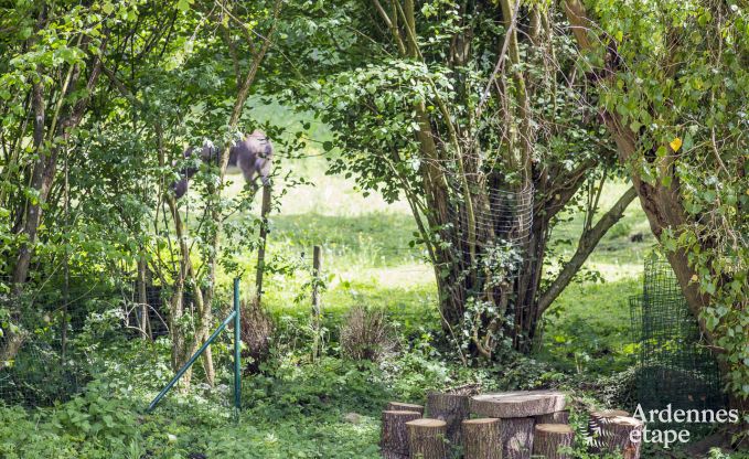Vakantiehuis in Durbuy voor 6 personen in de Ardennen