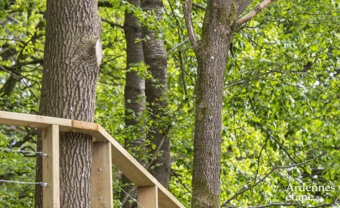 Vakantiehuis in Durbuy voor 6 personen in de Ardennen