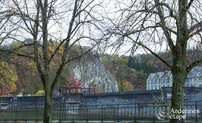 Onvergetelijk verblijf in Durbuy: Ruim vakantiehuis voor 18 personen met luxe voorzieningen in het hart van de Ardennen