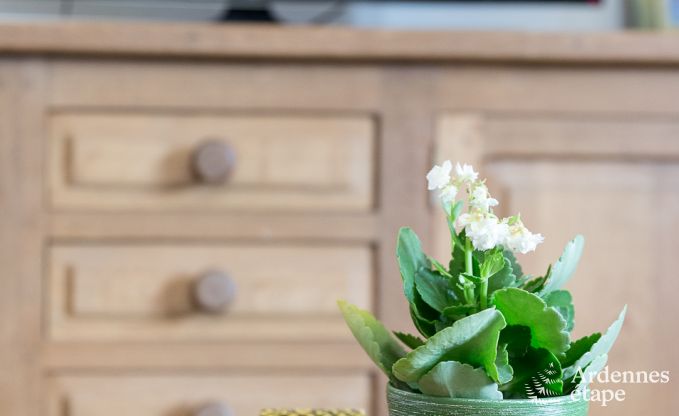 Vakantiehuis in Durbuy voor 7 personen in de Ardennen