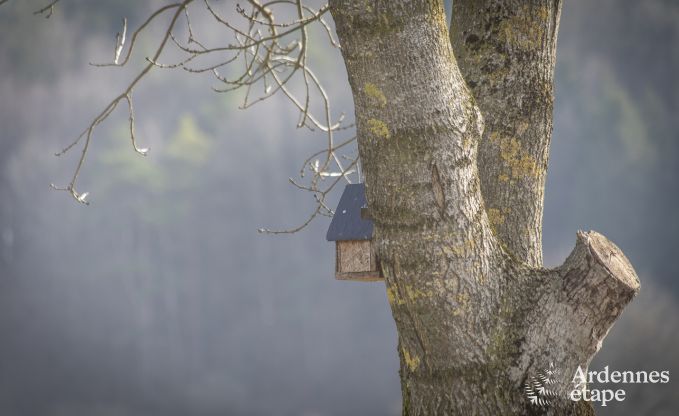 Vakantiehuis in Durbuy voor 9 personen in de Ardennen
