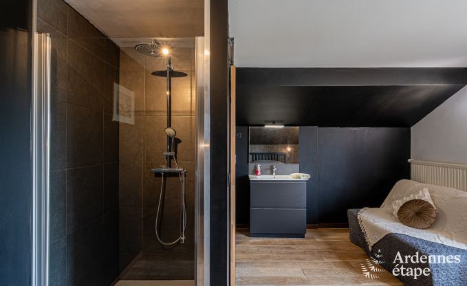 Vakantiehuis in Durbuy voor 10/12 personen in de Ardennen