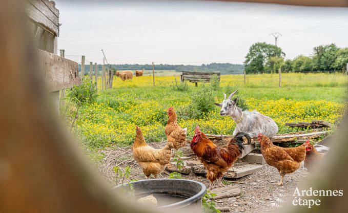Appartement in Durbuy voor 2 personen in de Ardennen