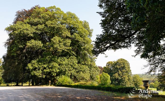 Kasteel in Durbuy voor 15 personen in de Ardennen