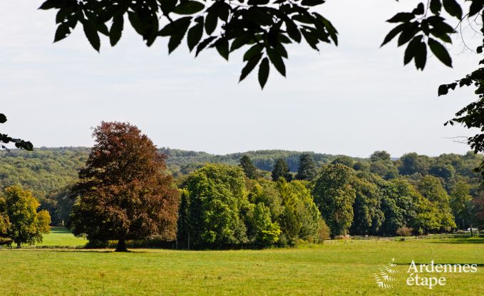 Kasteel in Durbuy voor 15 personen in de Ardennen