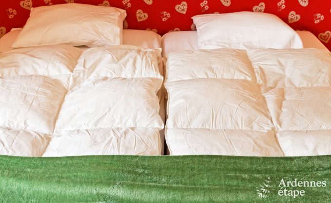 Kasteel in Durbuy voor 15 personen in de Ardennen