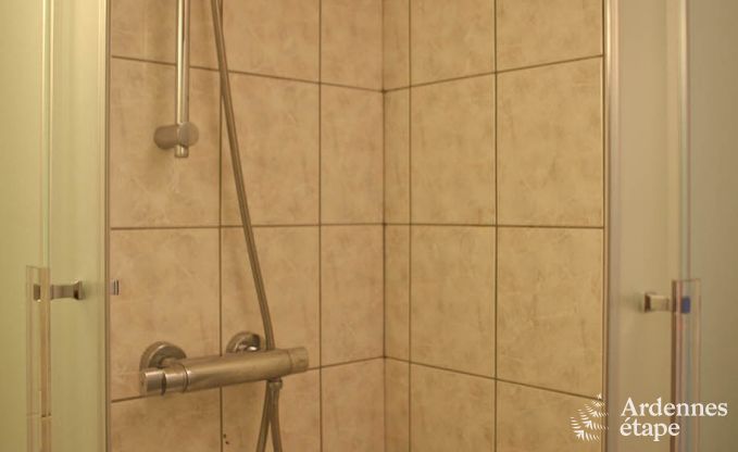 Groot vakantiehuis op de boerderij in Durbuy, 8 slaapkamers, 7 badkamers, priv�tuin, voorzieningen voor gezinnen en fietsers, Ardennen