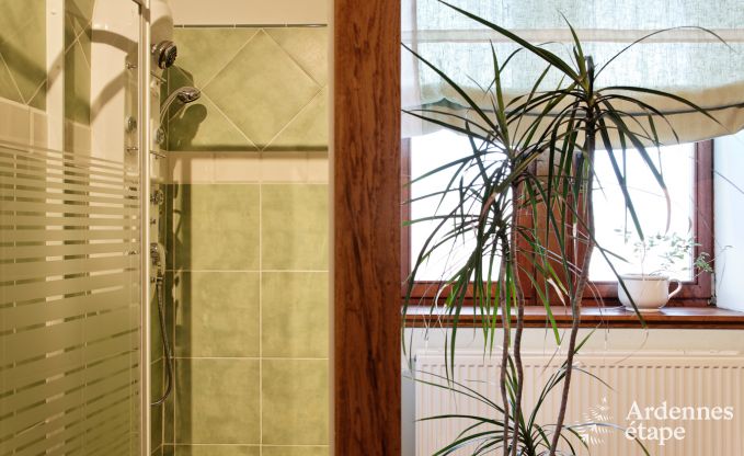 Vakantiehuis in Durbuy voor 9 personen in de Ardennen