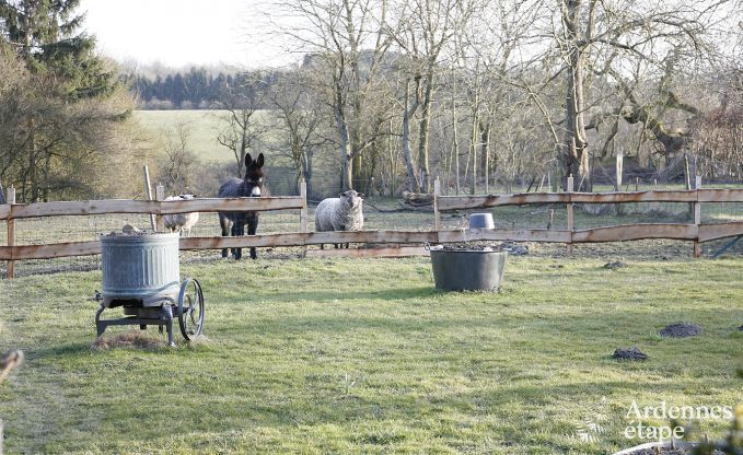 Vakantiehuis in Durbuy voor 9 personen in de Ardennen
