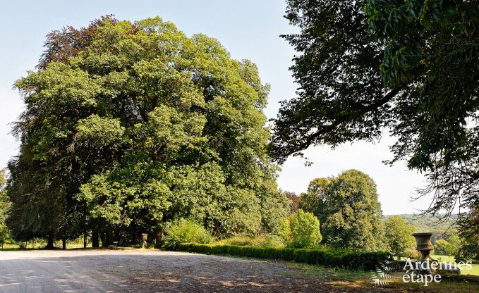 Vakantiehuis in Durbuy voor 6 personen in de Ardennen