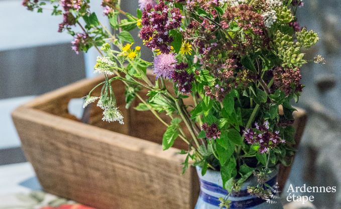 Vakantiehuis in Durbuy voor 2/3 personen in de Ardennen