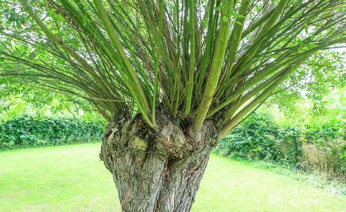 Vakantiehuis in Durbuy voor 2/3 personen in de Ardennen