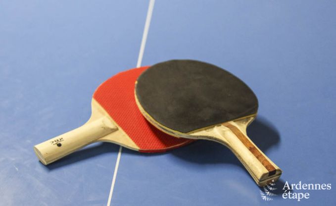 Vakantiehuis in Durbuy voor 7/8 personen in de Ardennen