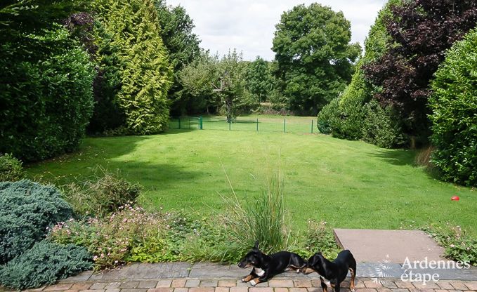 Comfortabel en huisdiervriendelijk vakantiehuis voor 6 personen in Durbuy