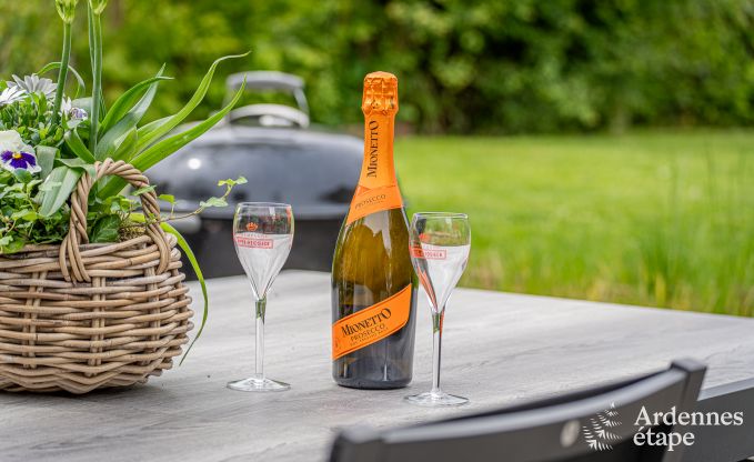 Volledig gerenoveerd vakantiehuis voor gezinnen in Durbuy