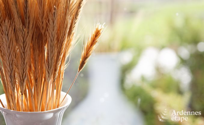 Vakantiehuis in Durbuy: 32 personen, 12 kamers, priv�tuin, hart van de Belgische Ardennen