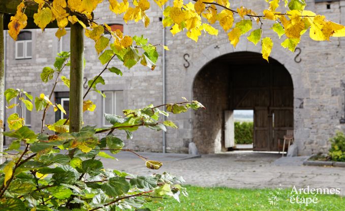 Vakantiehuis in Durbuy: 32 personen, 12 kamers, priv�tuin, hart van de Belgische Ardennen