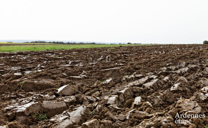 Vakantiehuis in Durbuy: 32 personen, 12 kamers, priv�tuin, hart van de Belgische Ardennen