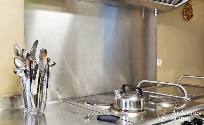 Vakantiehuis in Durbuy: 32 personen, 12 kamers, priv�tuin, hart van de Belgische Ardennen