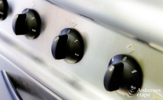 Vakantiehuis in Durbuy: 32 personen, 12 kamers, priv�tuin, hart van de Belgische Ardennen