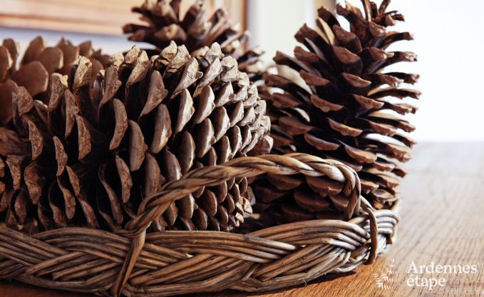 Vakantiehuis in Durbuy: 32 personen, 12 kamers, priv�tuin, hart van de Belgische Ardennen