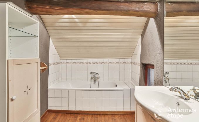 Vakantiehuis in Durbuy voor 10/11 personen in de Ardennen