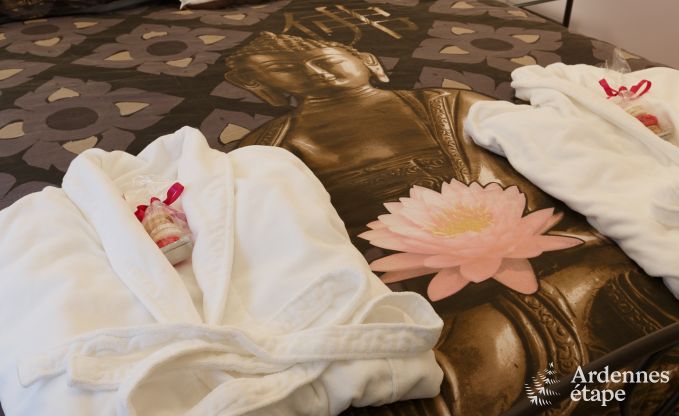 Luxe villa in Erez�e (Soy) voor 4 personen in de Ardennen