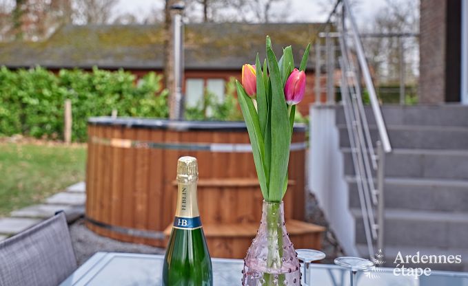 Vakantiehuis in Erez�e (Soy) voor 12 personen in de Ardennen