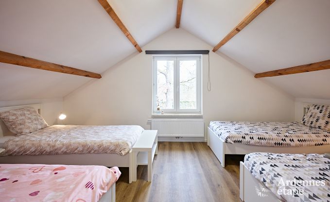 Vakantiehuis in Erez�e (Soy) voor 12 personen in de Ardennen