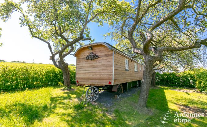Buitengewoon in Erezee voor 2/3 personen in de Ardennen