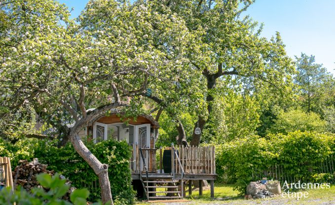 Buitengewoon in Erezee voor 2/3 personen in de Ardennen