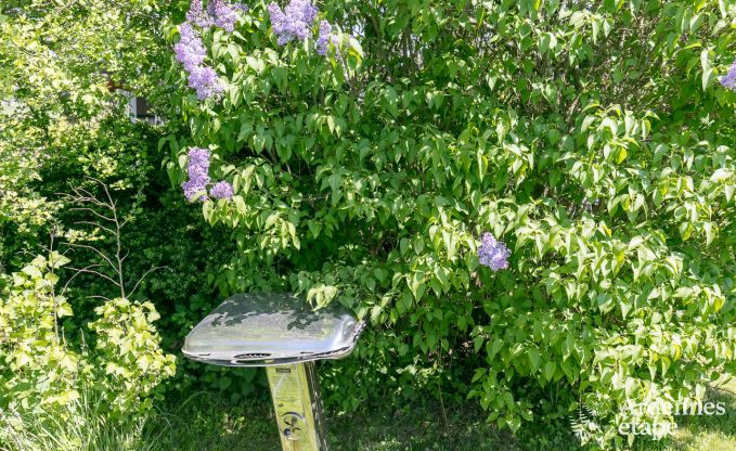 Buitengewoon in Erezee voor 2/3 personen in de Ardennen