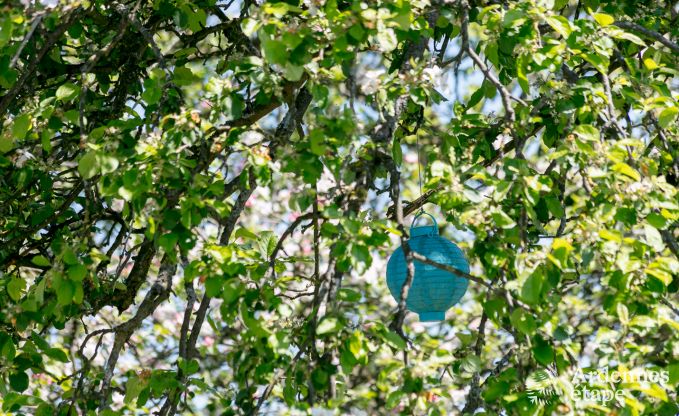 Buitengewoon in Erezee voor 2/3 personen in de Ardennen